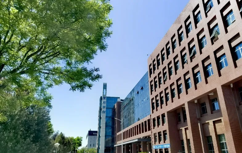 1767515691363c9e9a3737d98e